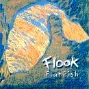 Buy Flook's Flatfish album